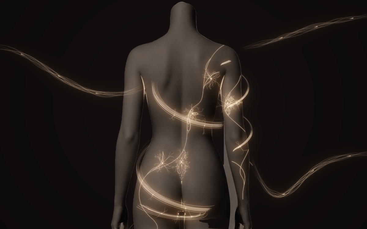 BiosignalX
